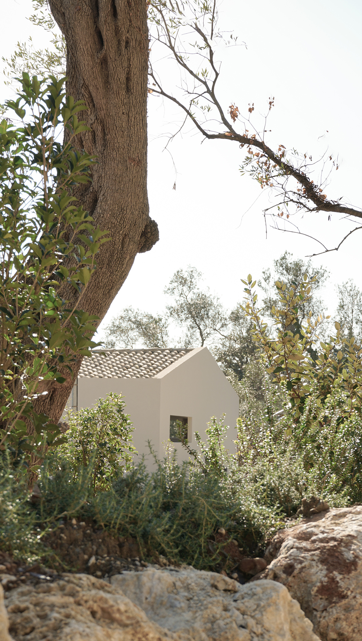 Thetacon Architecture Construction Corfu Casa Optio in Pelekas Back Side View