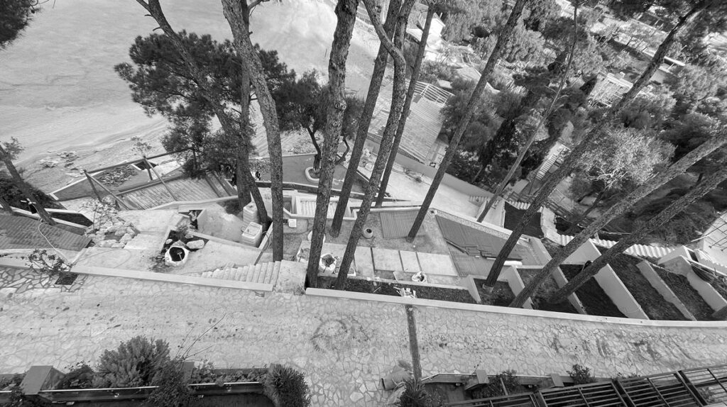 Thetacon Construction Corfu Story took a long time to grow so we kept them 1