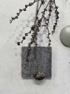 Thetacon Showroom Moodboards 14