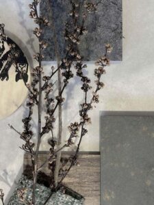 Thetacon Showroom Moodboards 9