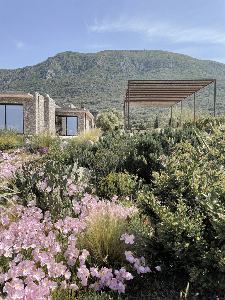 Thetacon Architecture Construction Corfu Villa Olika Contemporary villa in Prasoudi featured 0
